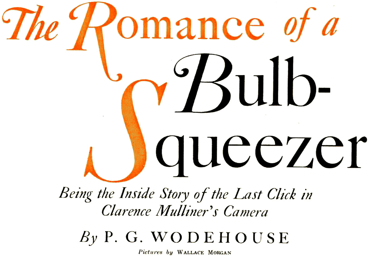 The Romance of a Bulb-Squeezer, by P. G. Wodehouse