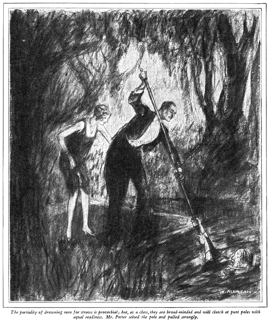 Mr. Potter seized the pole and pulled strongly.