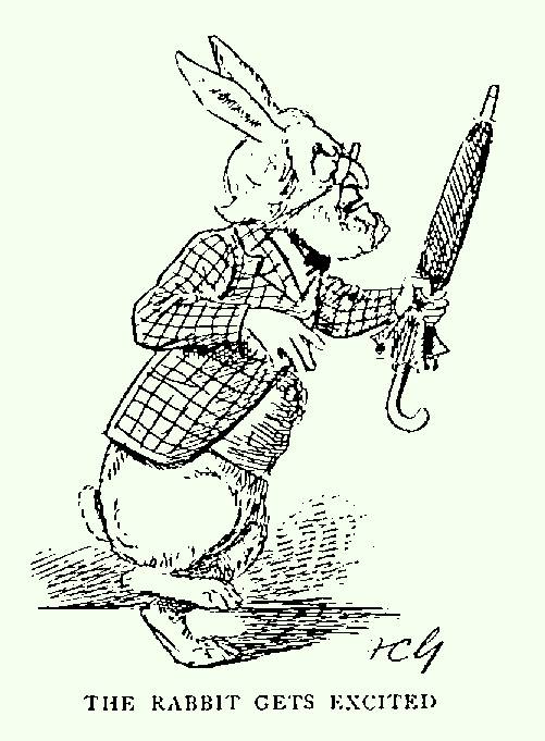 The Rabbit Gets Excited