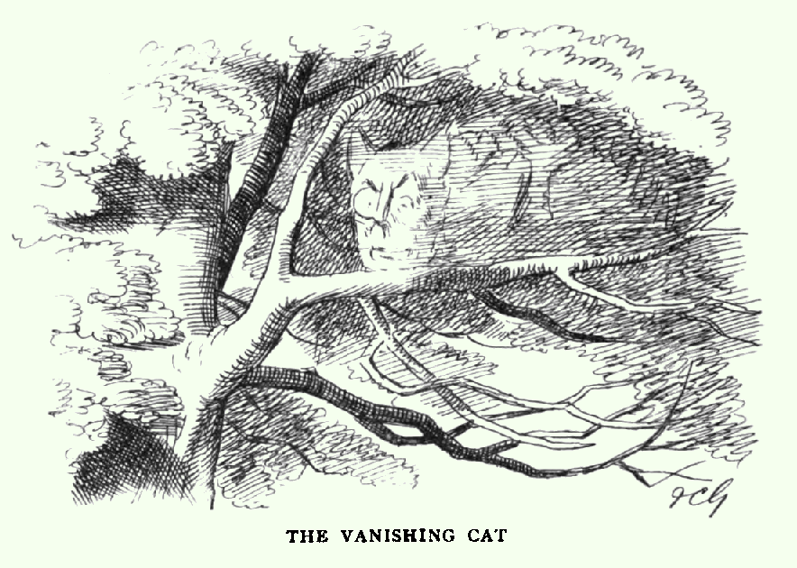 The Vanishing Cat