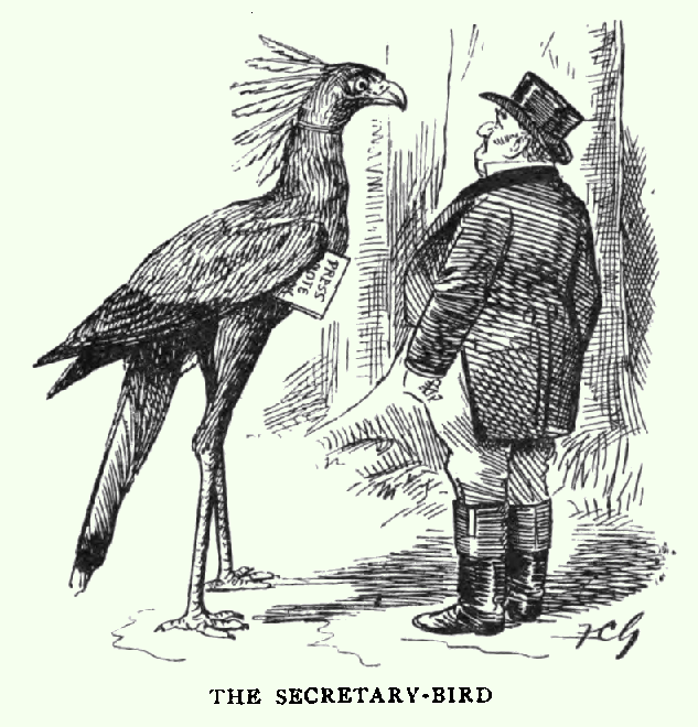 The Secretary-Bird